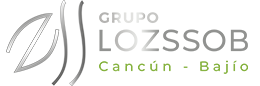 Grupo Lozssob Logo