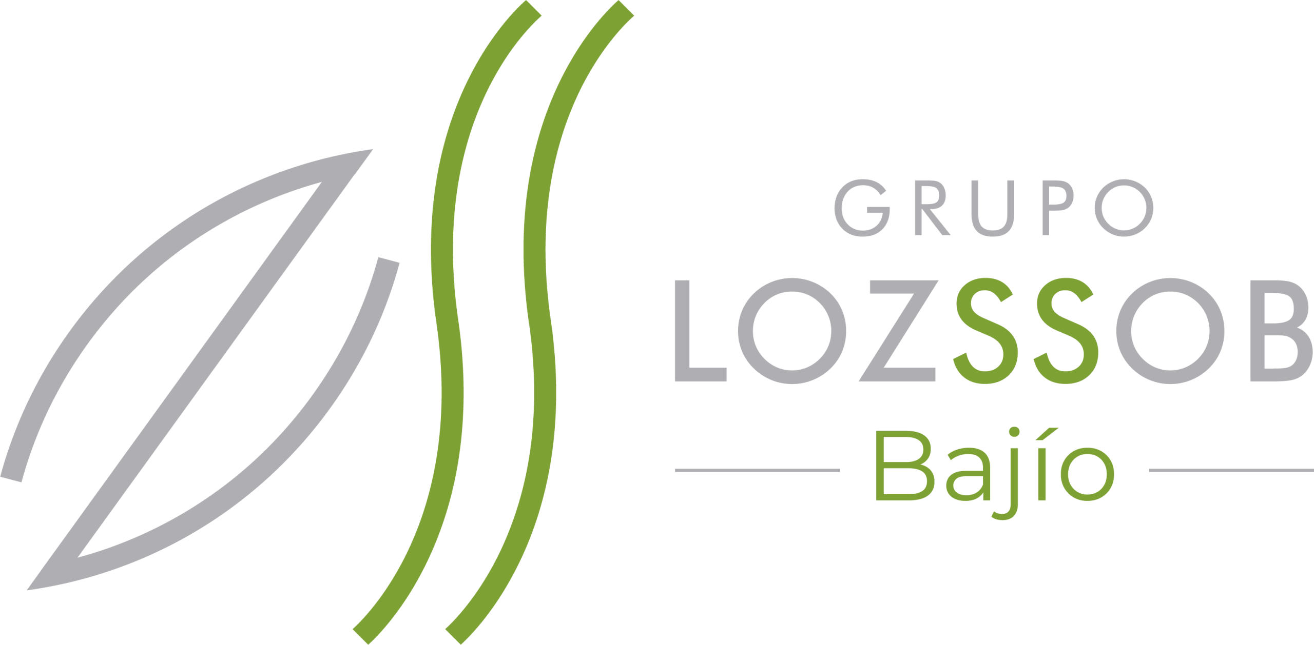 Grupo Lozssob Bajío