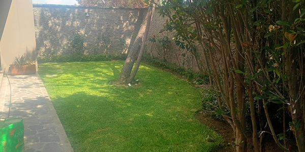 jardineria don luis